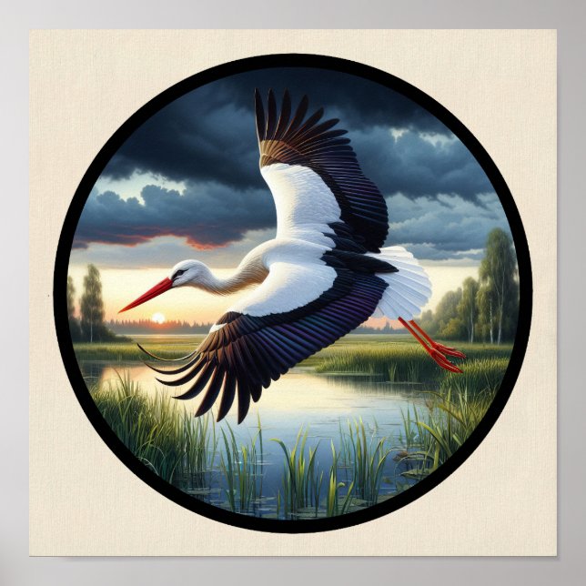 Ett cirkulärt 3D-bild av en vacker vit stork Poster (Framsidan)