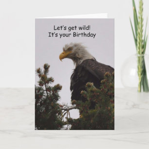 Ett Crazy Eagle Birthday Card! Kort