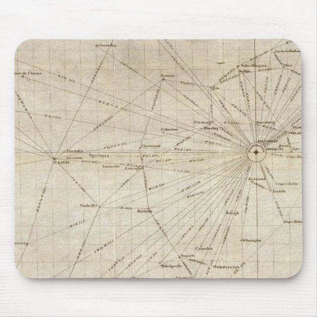 Ett diagram över Förenade Stater Musmatta (Framsidan)