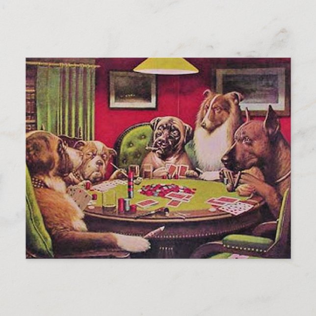 Ett djärvt bluff, hundar som spelar poker, vykort (Framsida)
