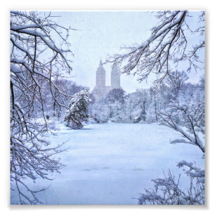 Ett djupfryst damm i Central Park Fototryck