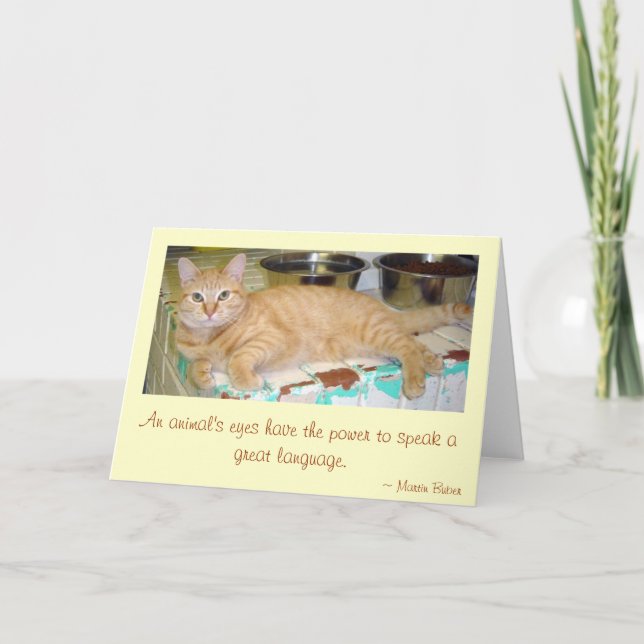 Ett djurs ögon kort (Framsida)