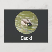 Ett duckande ankdjup vykort