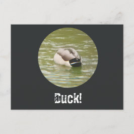 Ett duckande ankdjup vykort