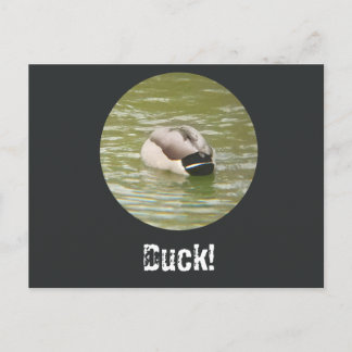 Ett duckande ankdjup vykort