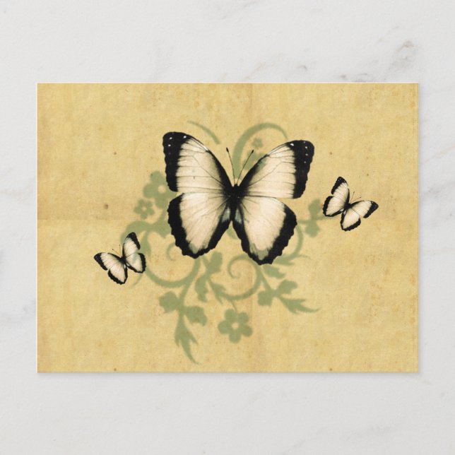 Ett enkelt Butterfly-vykort Vykort (Framsida)