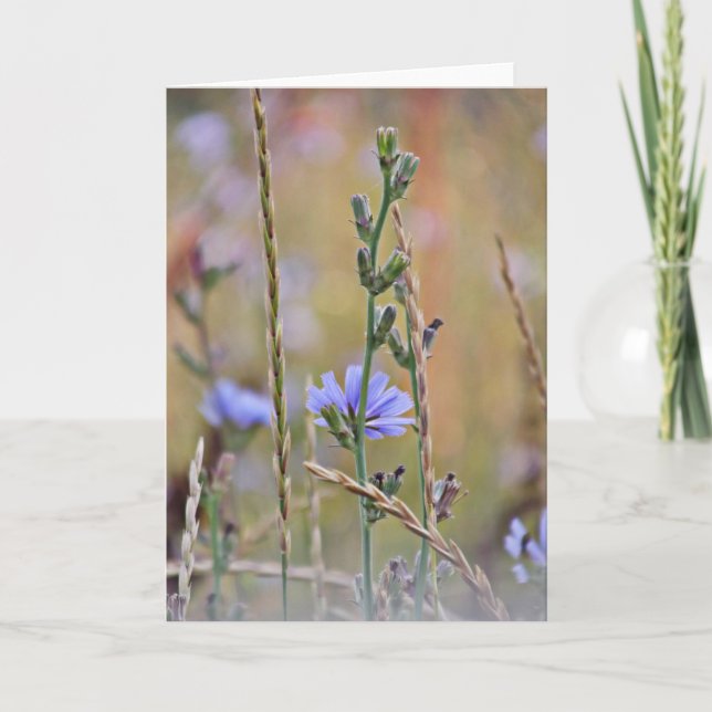Ett enkelt Lila-blomma ~-hälsningskort Kort (Framsida)