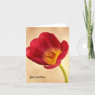 Ett enkelt Rosa Tulip-gratulationskort Tack Kort