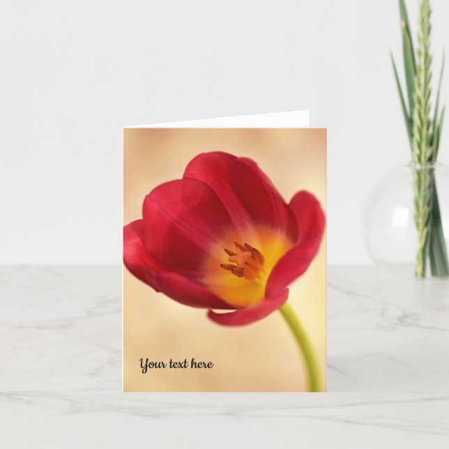 Ett enkelt Rosa Tulip-gratulationskort Tack Kort (Framsida)