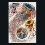 Ett exempel på marint liv - Ernst Haeckel Poster<br><div class="desc">Discomedusae-Scheibenquallen från Kunstformen der Natur (1904) av german zoolog,  naturalist,  professor och marinbiolog,  Ernst Haeckel (1843-1919). Ursprungligen från Bibliotek i kongressen. De geometriska formerna och de naturliga formerna fångas med exceptionell precision.</div>