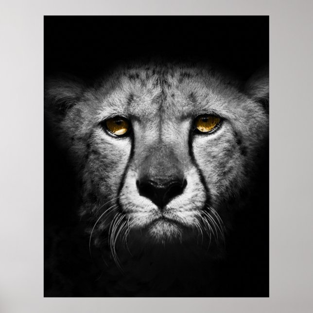 Ett exotiskt afrikanskt djur poster (Framsidan)