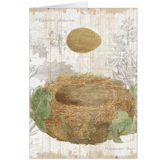 Ett fågelbo med ett brunt ägg hälsningskort (Framsidan)