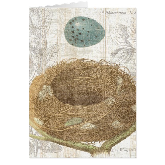 Ett fågelbo med ett dekorativt ägg hälsningskort (Framsidan)