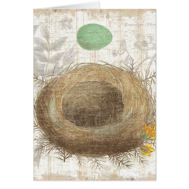 Ett fågelbo med ett grönt ägg hälsningskort (Framsidan)