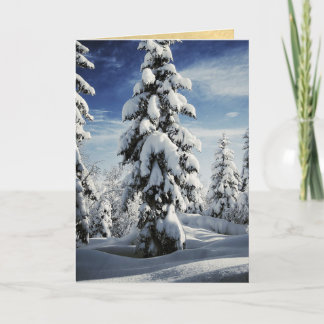 Ett fält av jultrees. helgkort