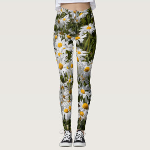 Ett fält med prästkragar leggings