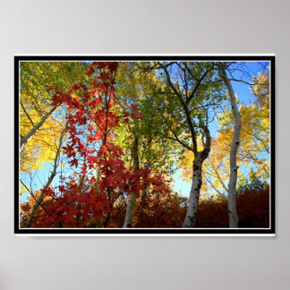 Ett Fantastiskt fall (med gräns) Poster