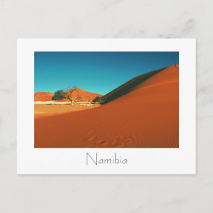 Ett fantastiskt vykort för Namibia Dune Sand-vyvis