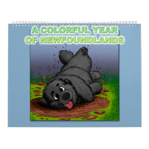 Ett färgglatt år med Newfoundlands Kalender