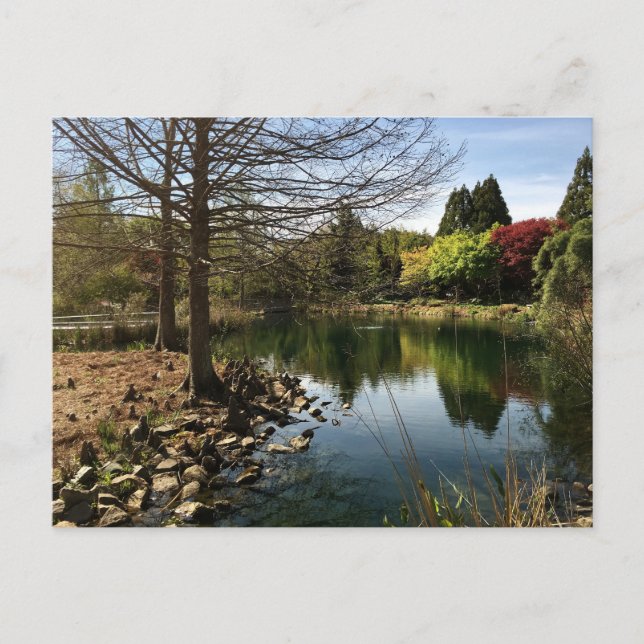 Ett fint foto av Sjö Vykort (Framsida)