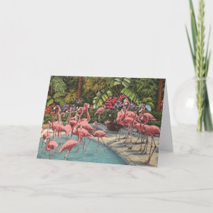 Ett flamboyant flamingokort kort