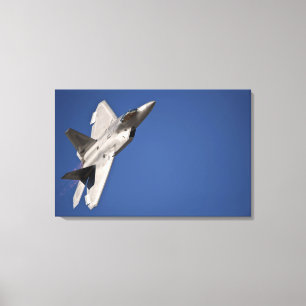 Ett flygplan för rovfågel F-22 Canvastryck