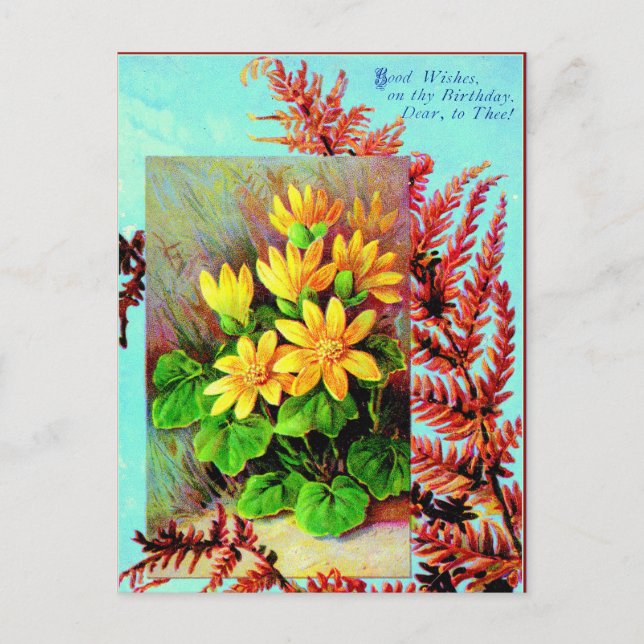 Ett födelsedagskort åt dig! vykort (Framsida)