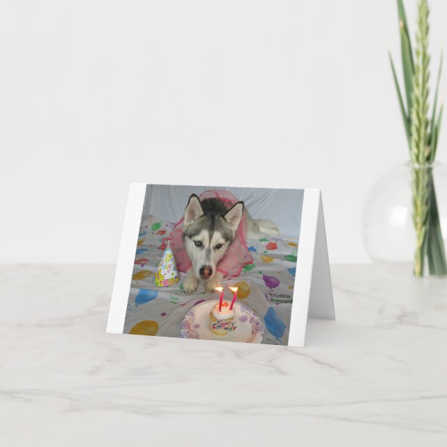 Ett födelsedagskort med en snygg hund kort (Framsida)
