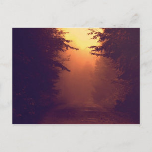 Ett Foggy Morgonvykort Vykort