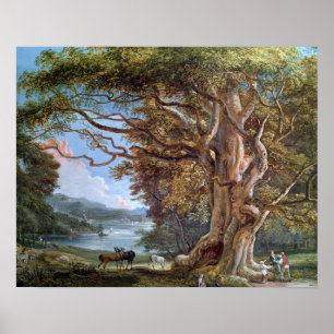 Ett forntida bokträdträd, 1794 (olja på kanfas) poster