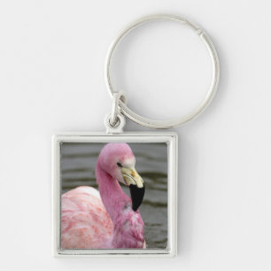 Ett foto i fångenskap av en andinsk flamingo fyrkantig silverfärgad nyckelring