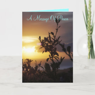 Ett fredens budskap kort