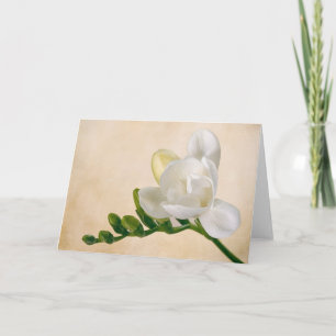 Ett Freesia-kort Kort