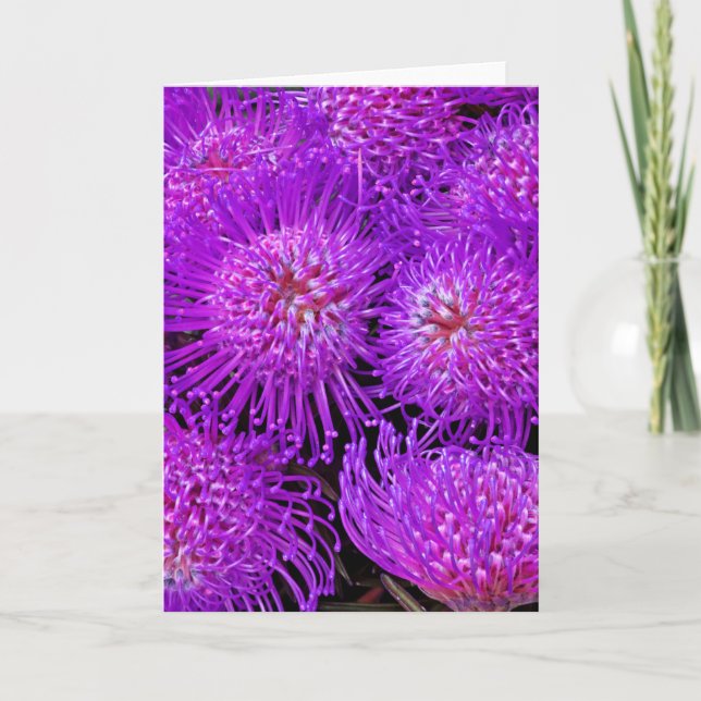 Ett Funky-färgrutekort för Roligt Kort (Framsida)