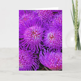 Ett Funky-färgrutekort för Roligt Kort