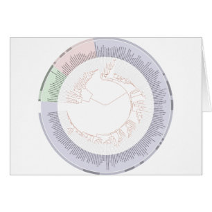 Ett fylogenetiskt livets träd-diagram hälsningskort