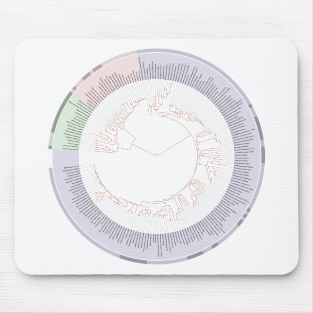 Ett fylogenetiskt livets träd-diagram musmatta (Framsidan)