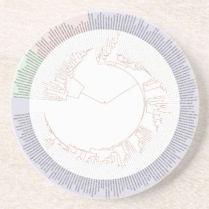 Ett fylogenetiskt livets träd-diagram underlägg