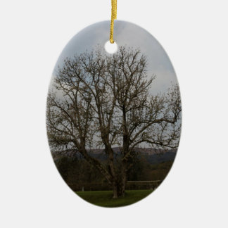 Ett gammalt träd i mittet av lekplatsen och julgransprydnad keramik