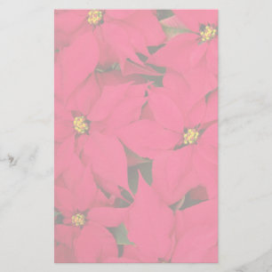 Ett gäng Brighly Färgad jul Poinsettias Brevpapper