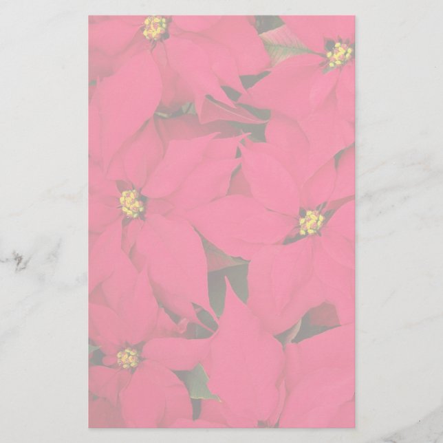 Ett gäng Brighly Färgad jul Poinsettias Brevpapper (Framsida)