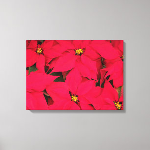 Ett gäng Brighly Färgad jul Poinsettias Canvastryck