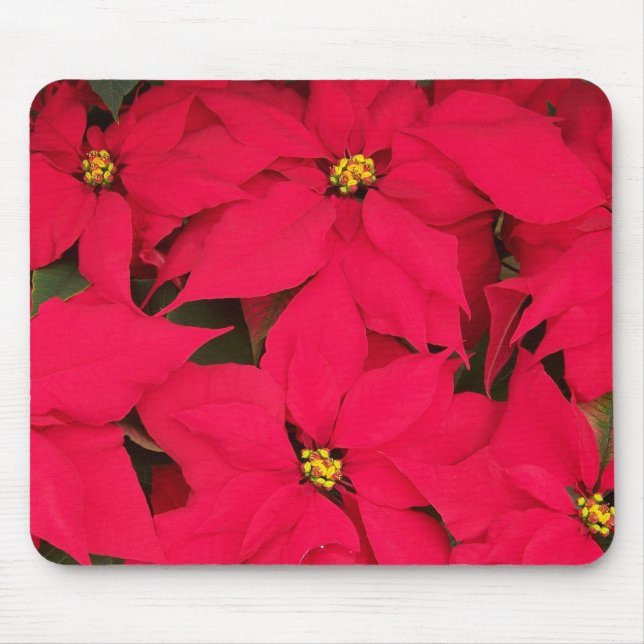 Ett gäng Brighly Färgad jul Poinsettias Musmatta (Framsidan)