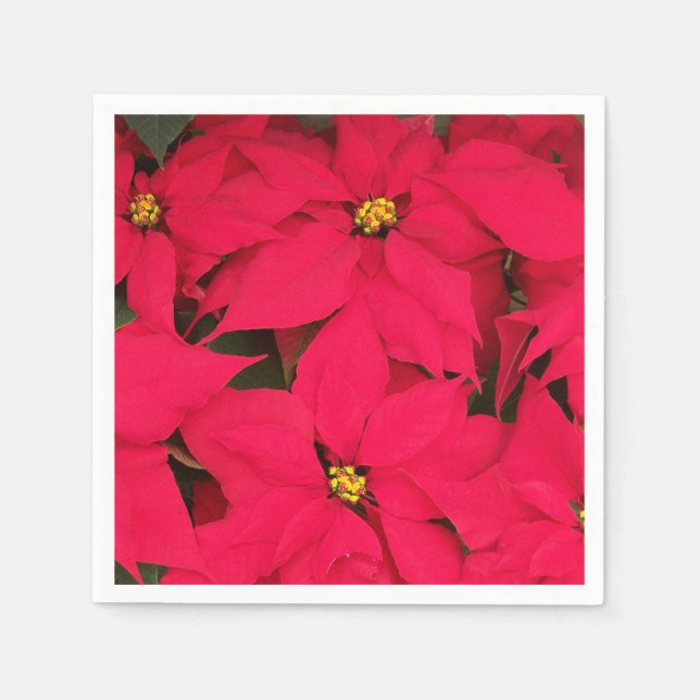 Ett gäng Brighly Färgad jul Poinsettias Pappersservett (Framsidan)