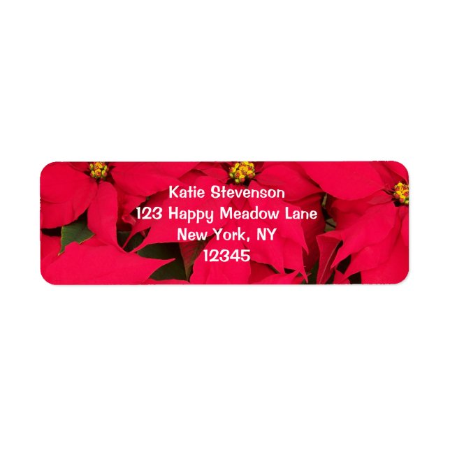 Ett gäng Brighly Färgad jul Poinsettias Returadress Etikett (Framsidan)