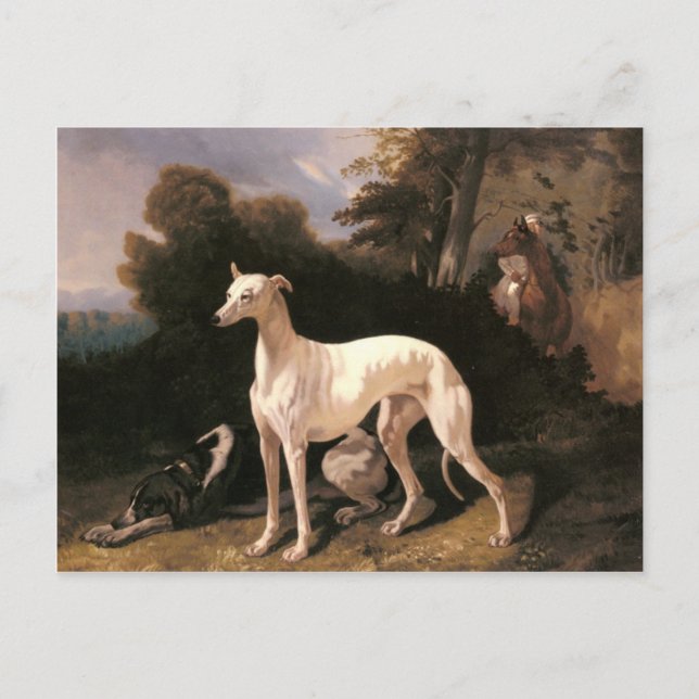 Ett greyhound i ett omfattande landskap av de Dreu Vykort (Framsida)