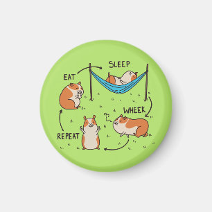 Ett Guineas Gris livscykel Magnet