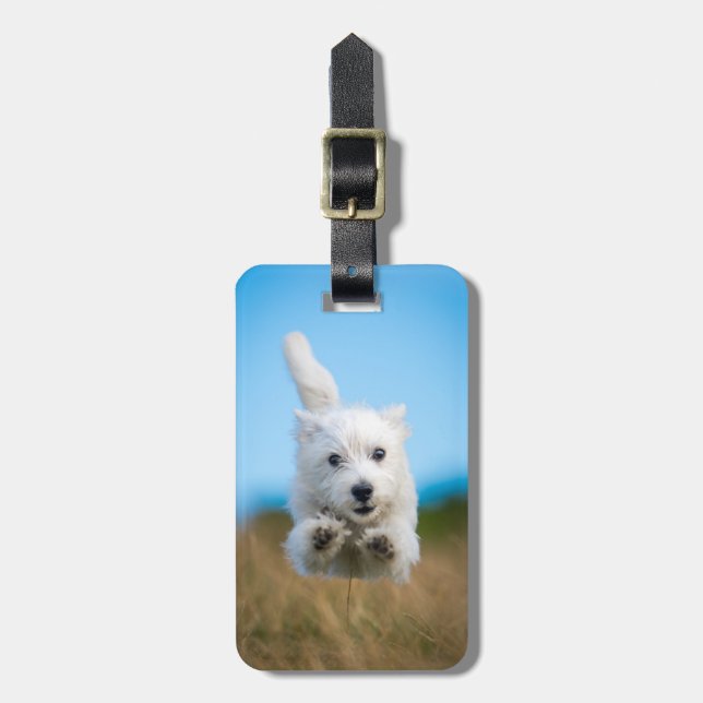 Ett gulligt västra höglands- Terriervalpspring Bagagebricka (Vertikal Framsida)