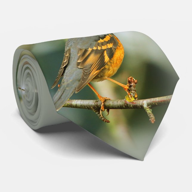 Ett häftigt men Säkert vackert skiftläge Slips (Rullad)