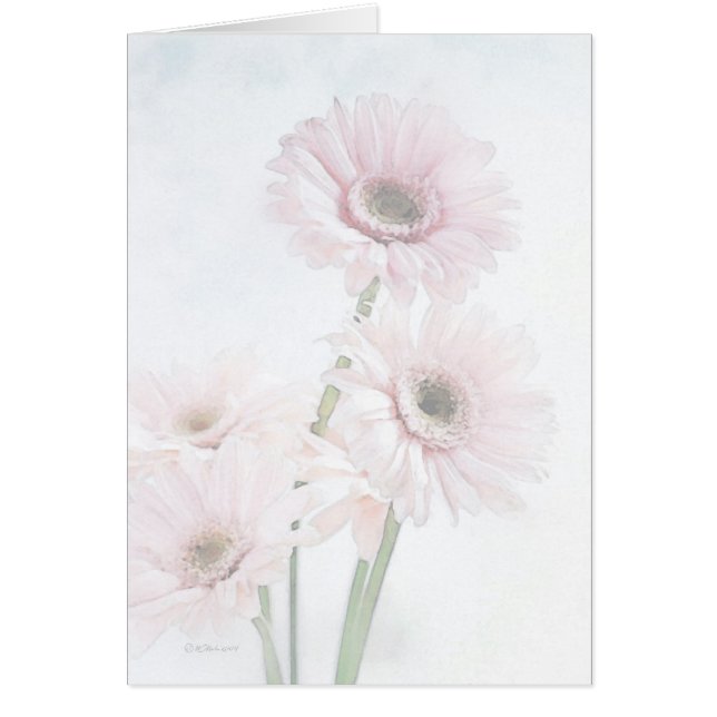 Ett handlag av rosa Gerber daisy Hälsningskort (Framsidan)